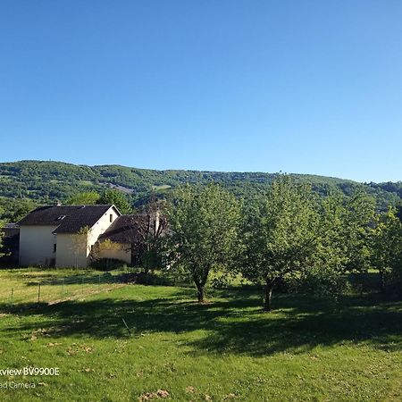 דירות Saint-Côme-dʼOlt La Clematite D'Olt מראה חיצוני תמונה